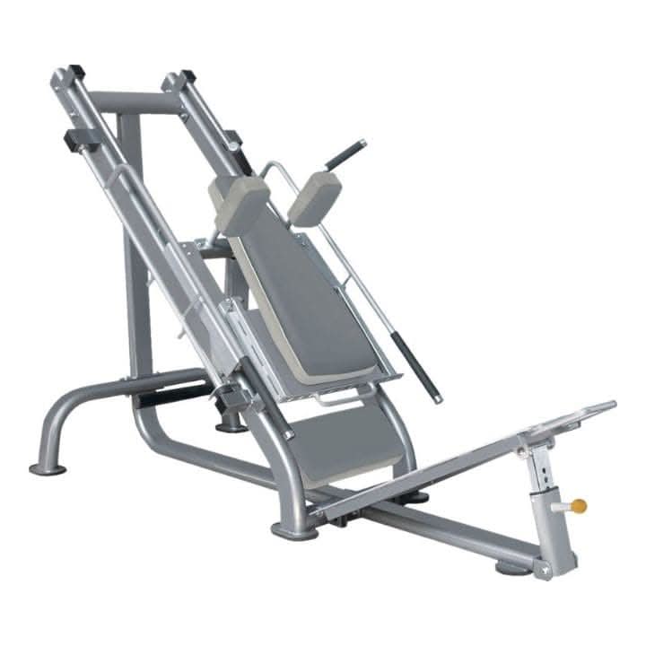 Leg Press / Hack Squat machine